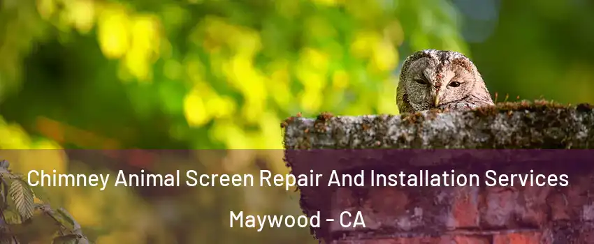  Chimney Animal Screen Repair And Installation Services Maywood - CA