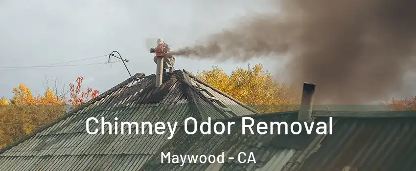  Chimney Odor Removal Maywood - CA